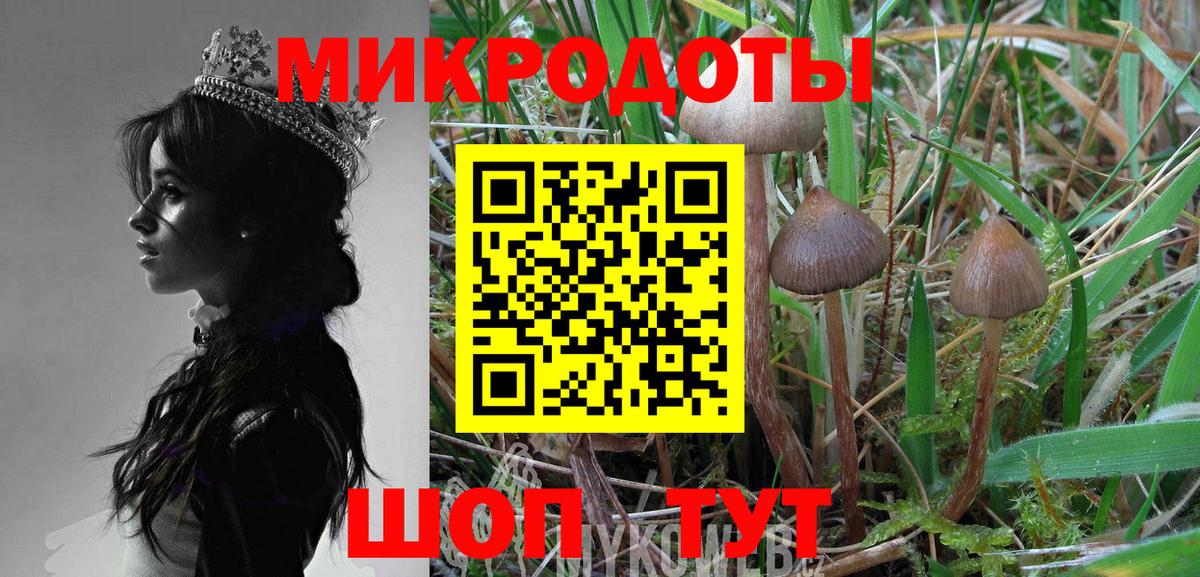 Галлюциногенные грибы мицелий  Псилоцибиновые грибы мухоморы  дарнет шоп  Тулун  Вход с VPN 