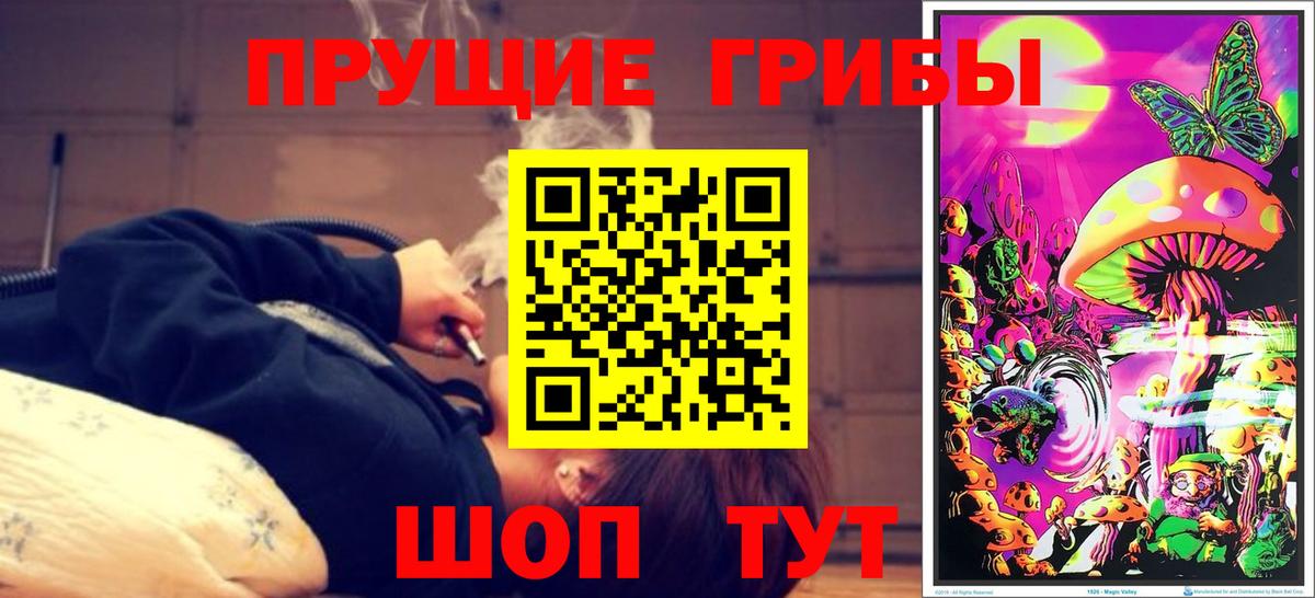 Галлюциногенные грибы прущие грибы Тулун